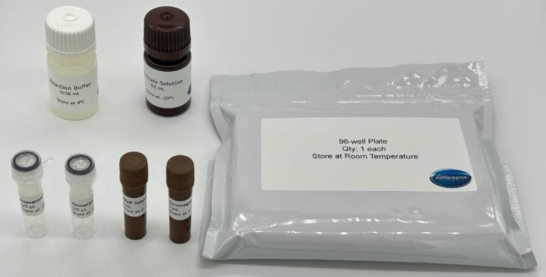 EZ2015 product image