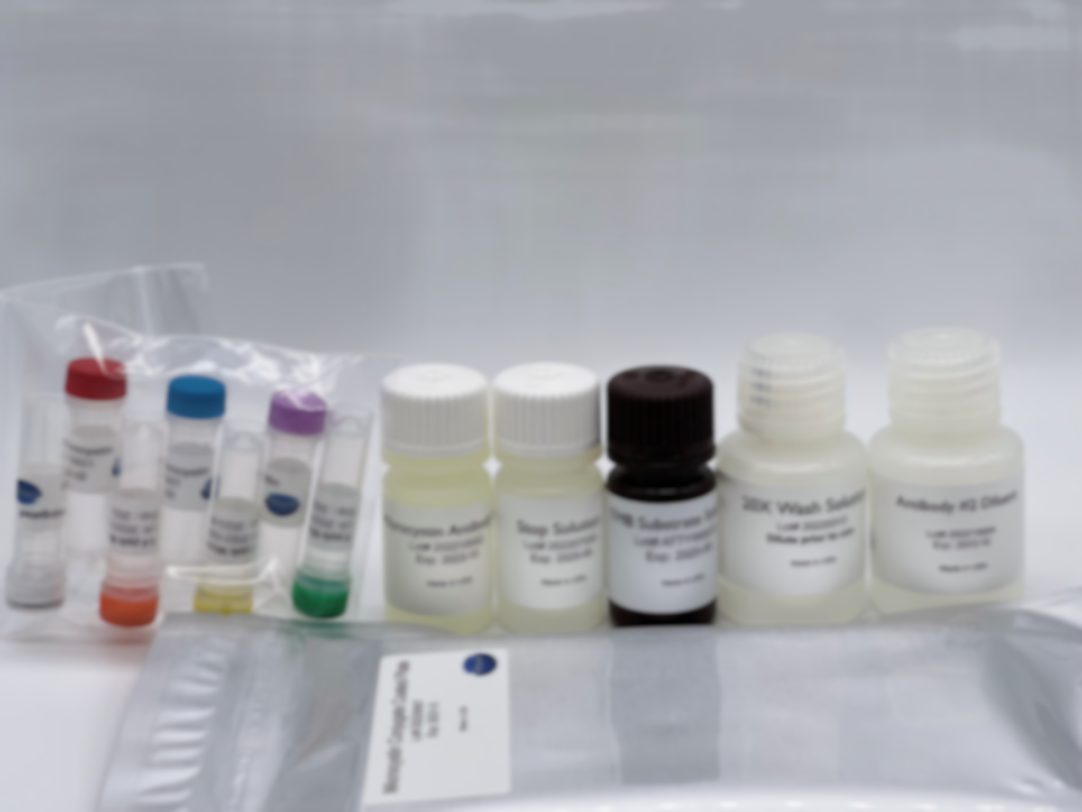 ELISA Product Image