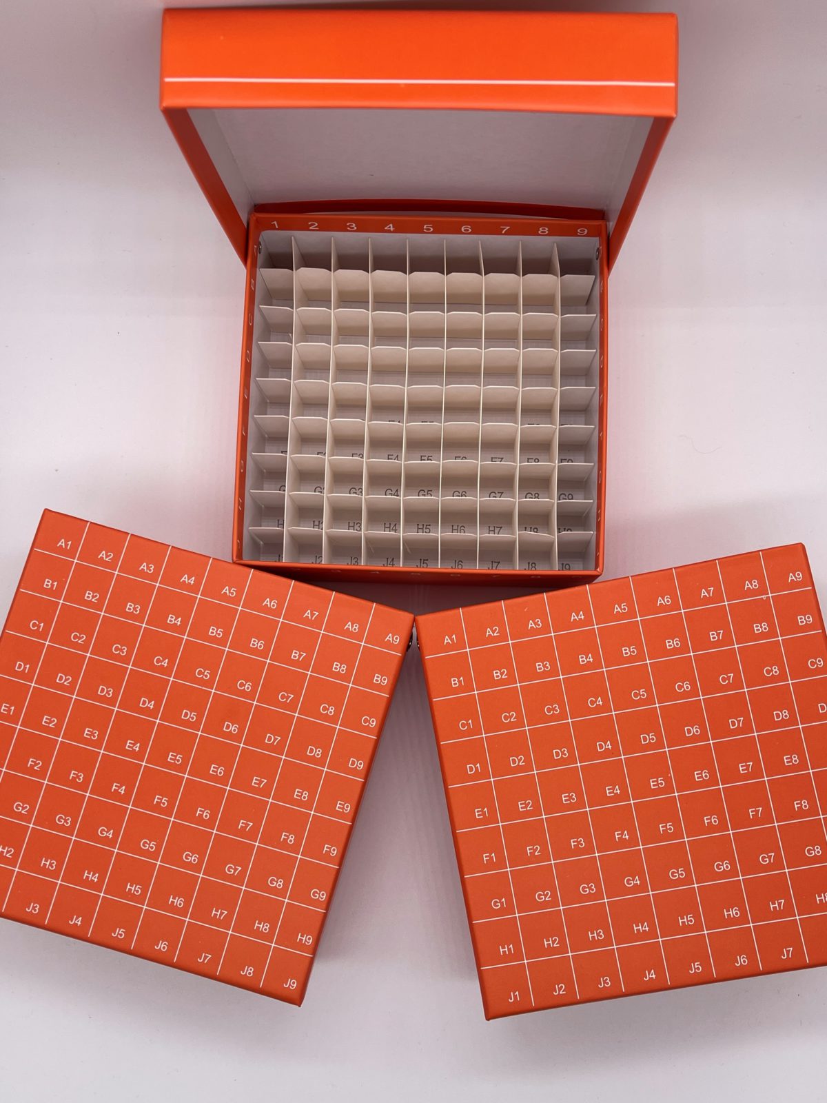 Tube (81) Lab Freezer Box with attached Lid (pack of 10)