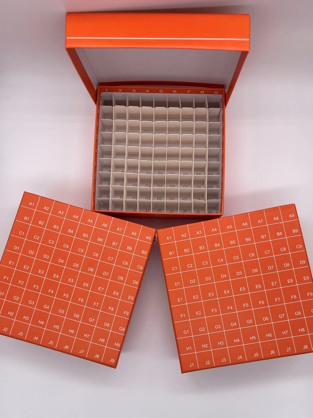 Tube (81) Lab Freezer Box with attached Lid (pack of 10) - Attogene
