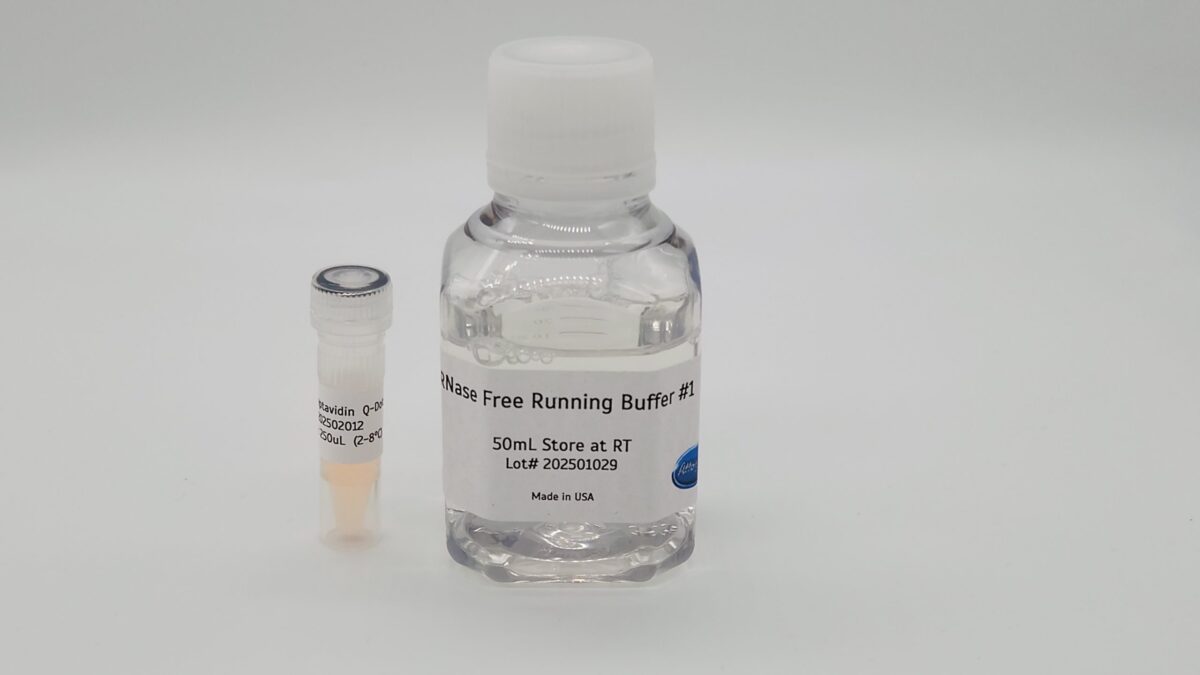 Streptavidin CdSe/ZnS Quantum Dots For Lateral Flow
