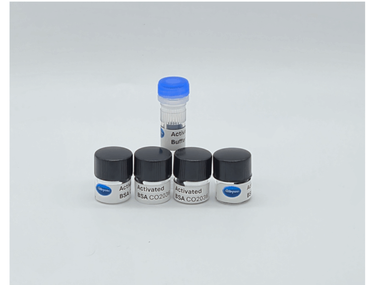 Oligonucleotide-BSA Conjugation Kit