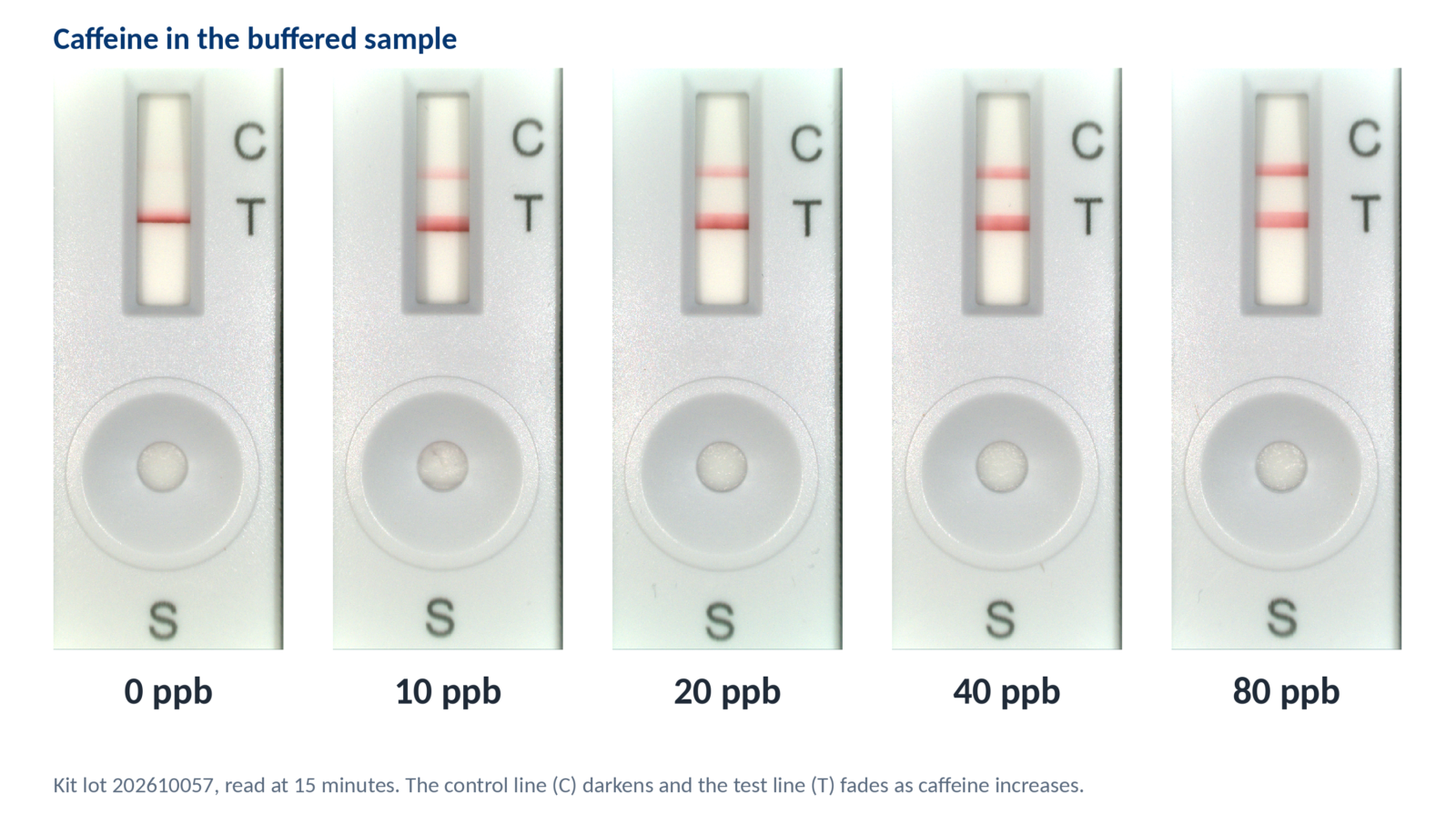 Caffeine Rapid Detection Kit (Urine Compatible) - Image 2