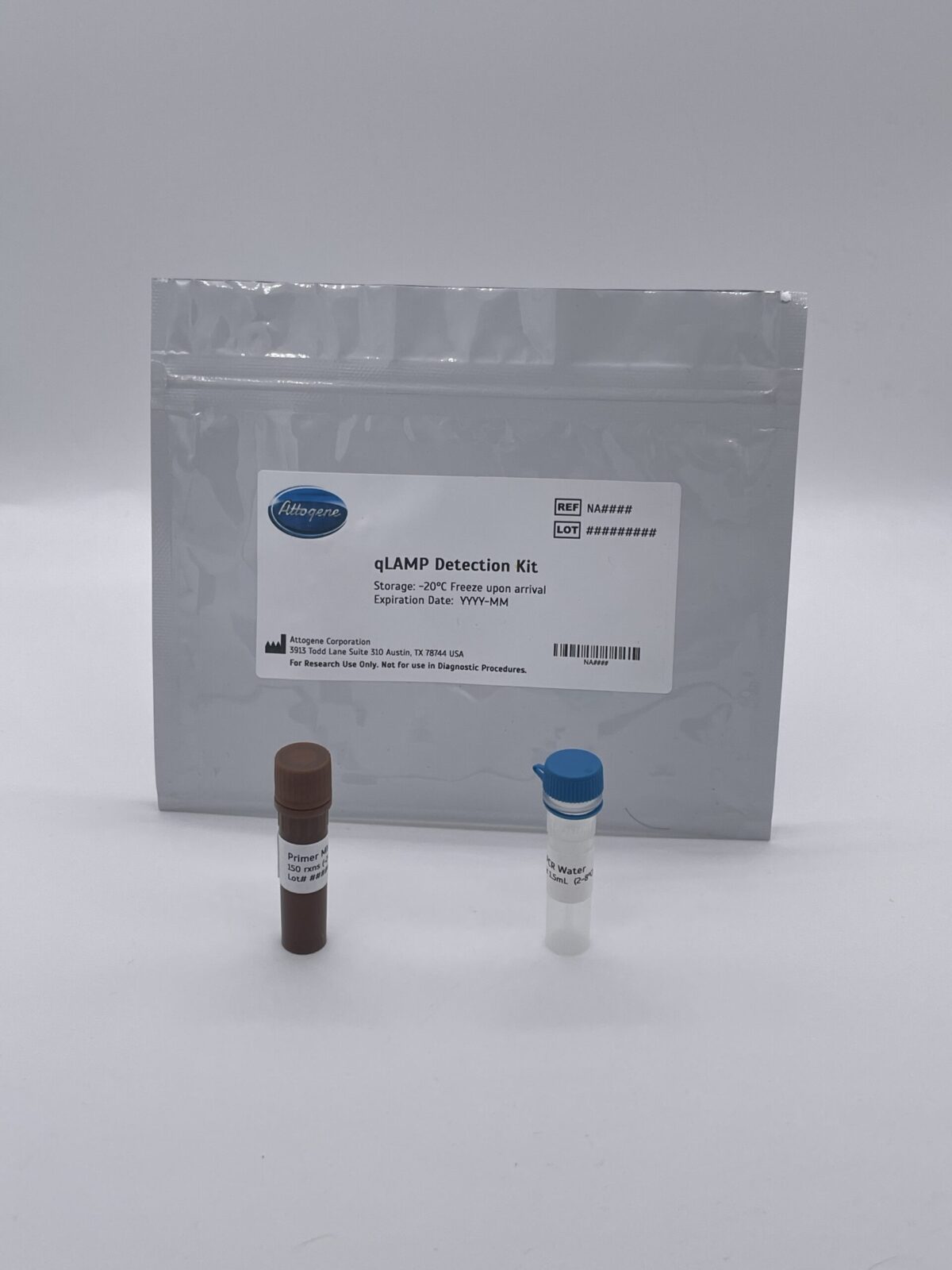 C. Botulinum qLAMP Detection Kit ntnh Gene Region