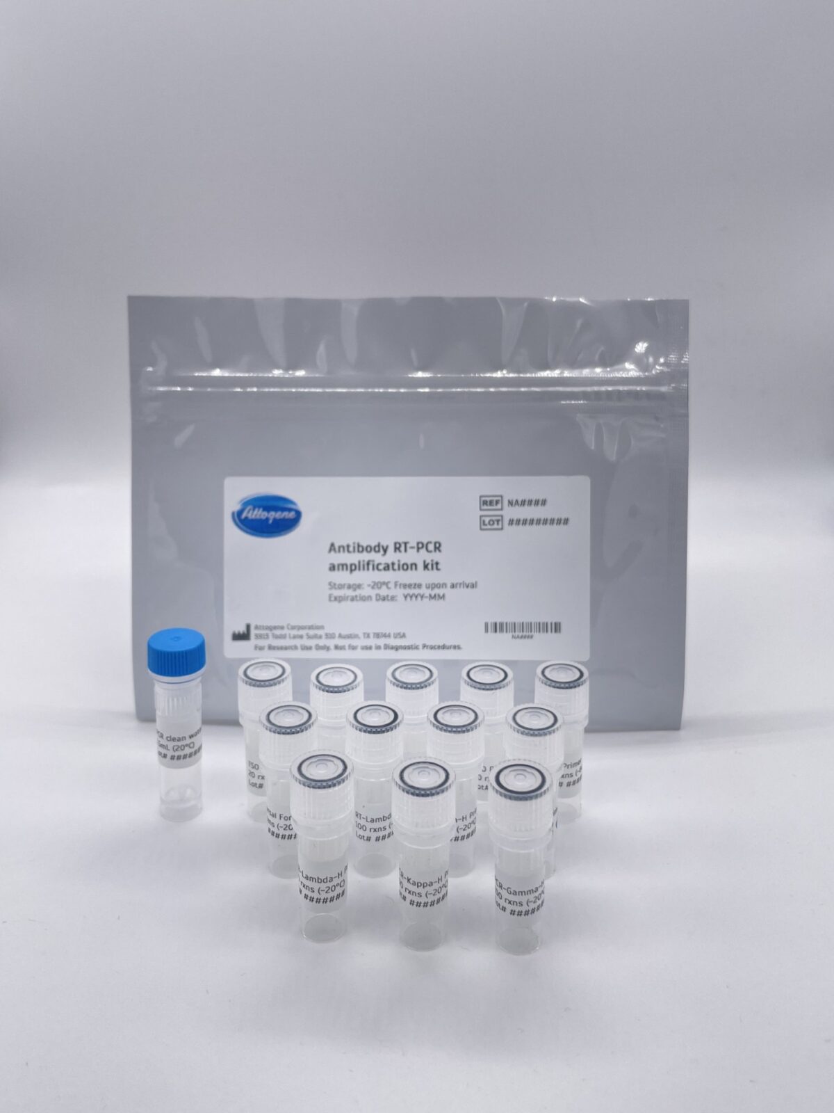 Antibody V-region RT-PCR