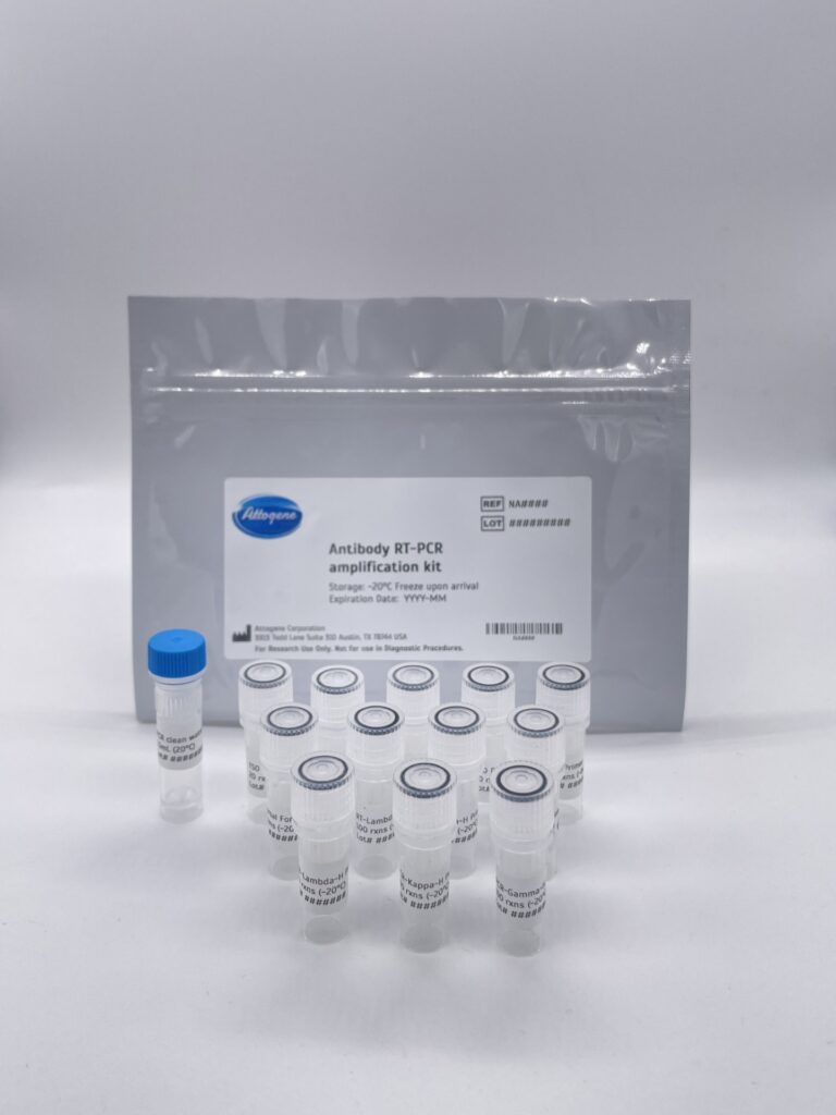 Antibody V-region RT-PCR
