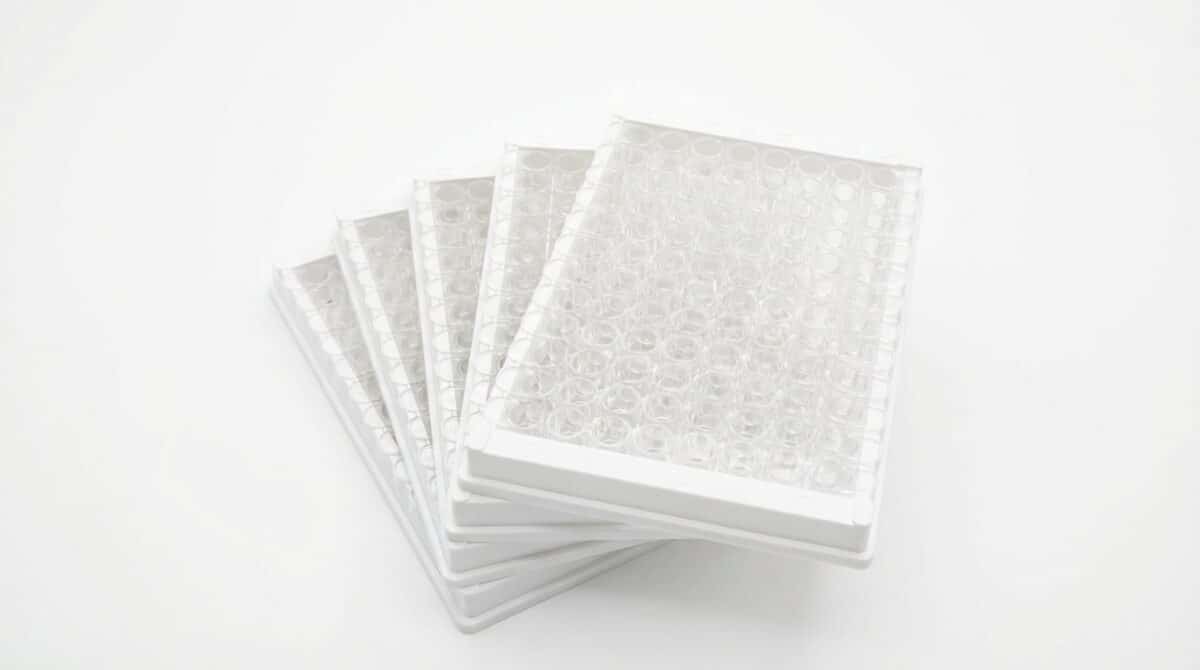 Mouse Anti Digoxigenin (DIG) Coated ELISA Plates
