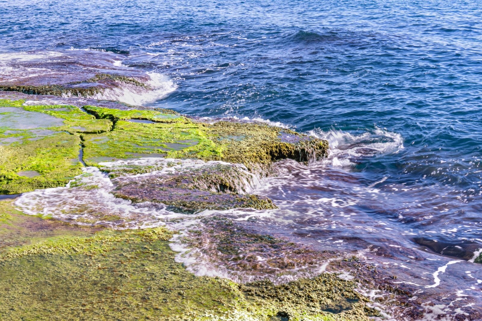 Waves crashing on the vibrant algae-covered rocks along the Torrevieja coast, capturing natural beauty.